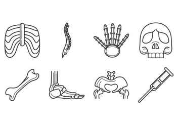 Free Human Bone Icon Vector - vector #380121 gratis